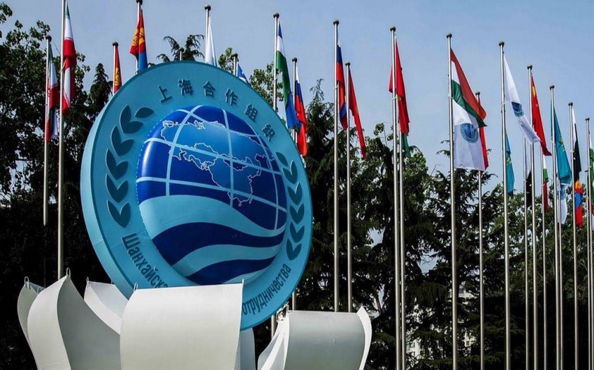 Azerbaijan seeks observer status in Shanghai Cooperation Organization