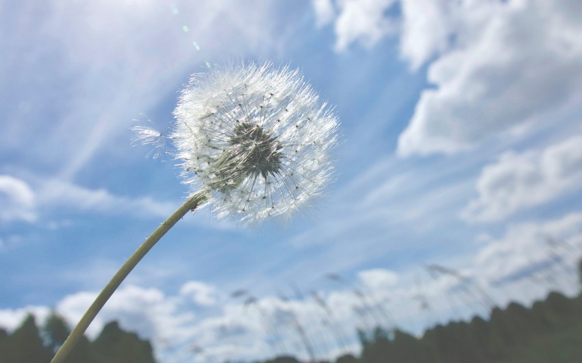 Azerbaijan weather forecast for August 1