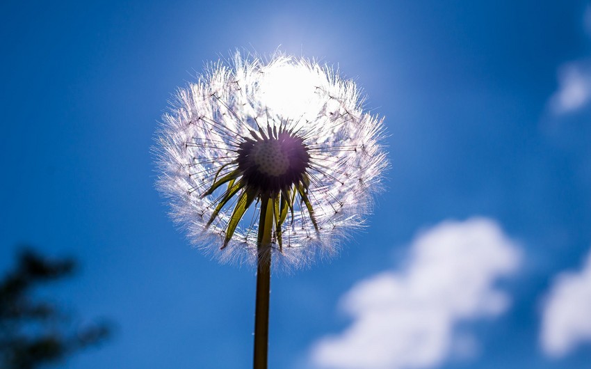 Azerbaijan weather forecast for August 20