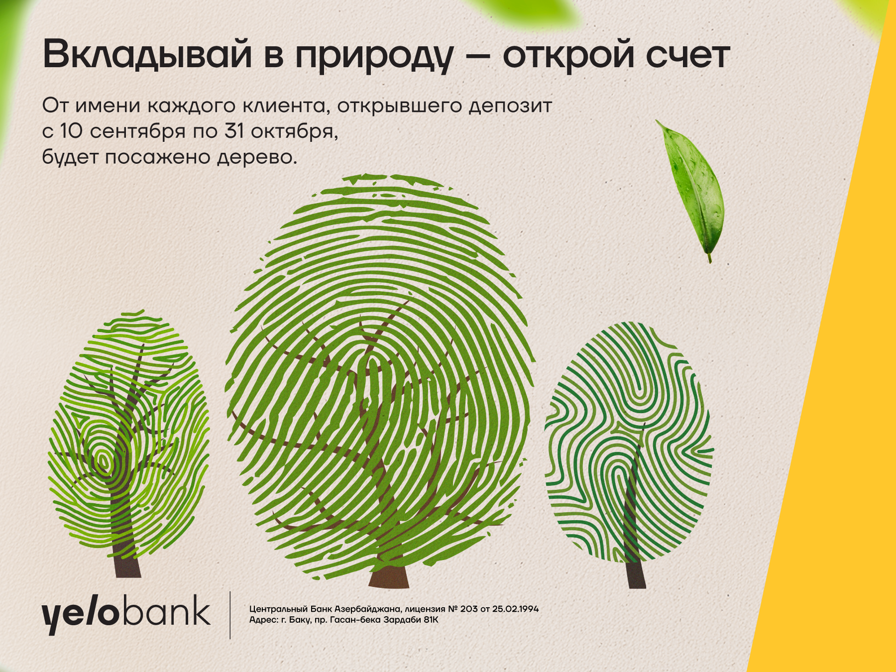 Вклад в Yelo Bank — вклад в зелёный Баку