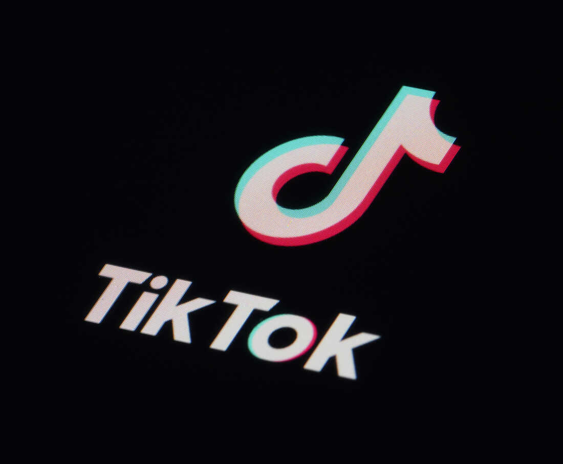 Tiktok “Sputnik”in hesablarını silib