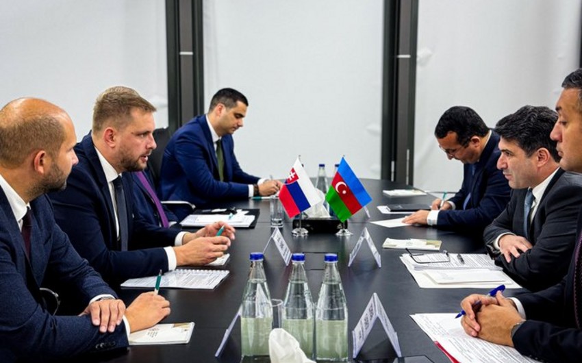 Slovakia, Azerbaijan mull issues of energy cooperation