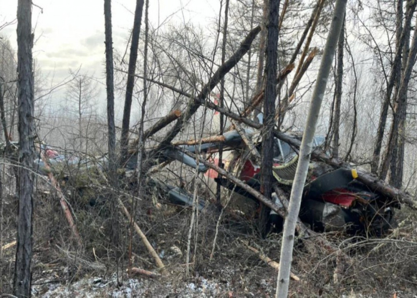 В России разбился самолет Ан-3, есть погибший