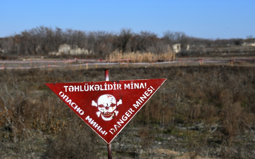 205 mines neutralized in Azerbaijan’s liberated lands last week