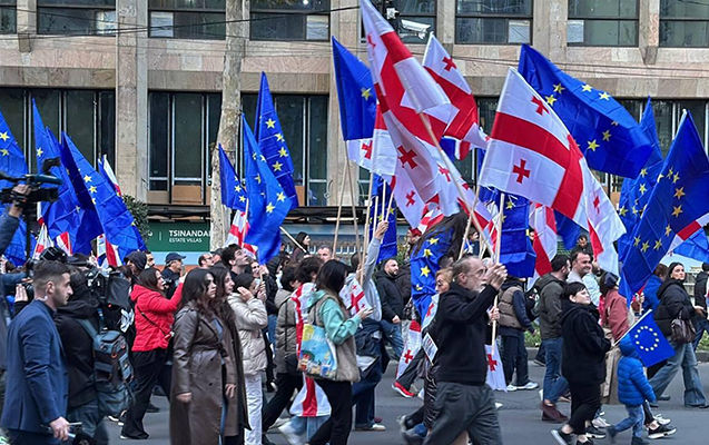 Президент Грузии присоединилась к предвыборному митингу оппозиции