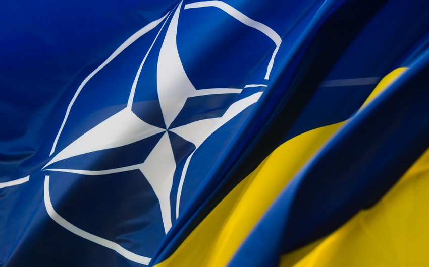 Washington, Berlin slow-walking Ukraine’s bid for NATO invitation