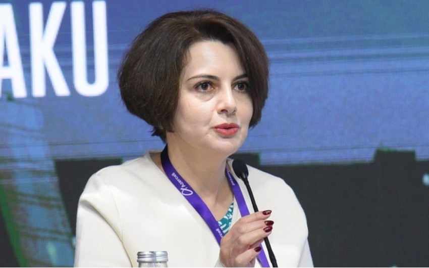 Azerbaijani official: EU countries will need more green energy imports