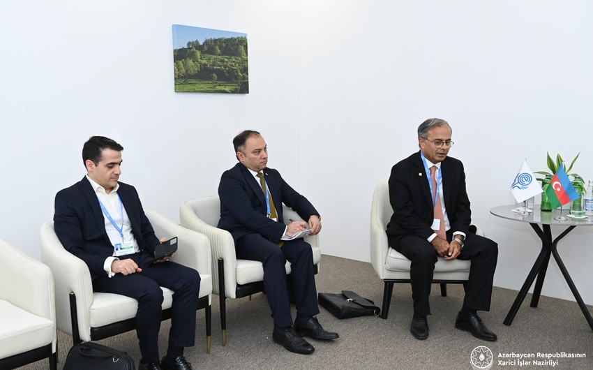 ECO Secretary General praises Azerbaijan for exceptional COP29 organization