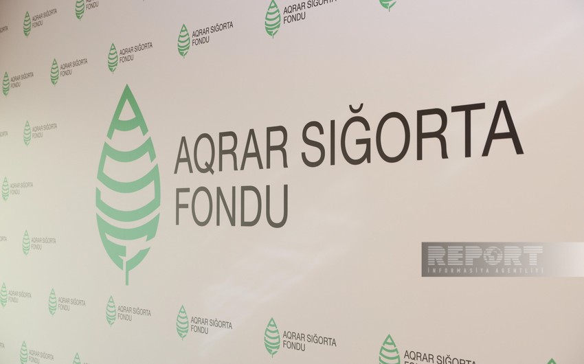 Aqrar Sığorta Fondu 10 aylıq nəticələri açıqlayıb