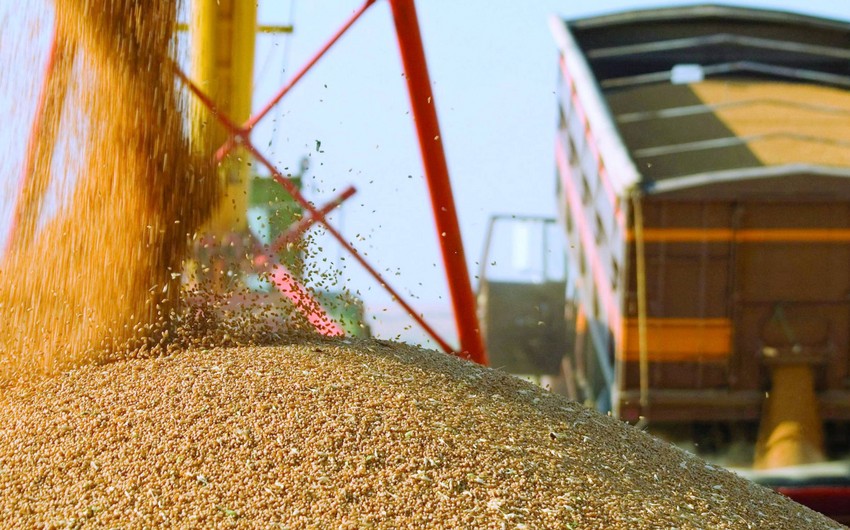 KTZ reveals volume of grain shipped to Azerbaijan