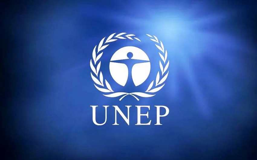 UNEP объявила лауреатов премии 