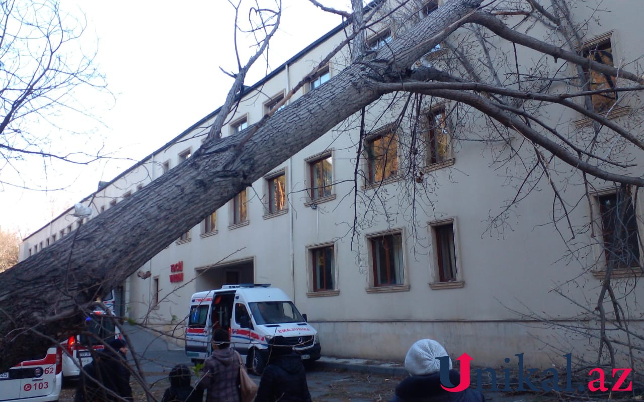 Сильный ветер повредил здание центральной больницы в Мингячевире