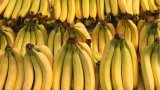 Azerbaijan’s banana import costs rise 11% in Q1 despite lower volumes