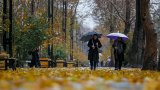 Sabah yağış yağacaq - Hava proqnozu