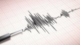 Strong earthquake hits western Turkey, Erdogan says situation under control