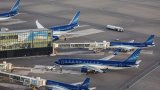 AZAL рассматривает открытие новых направлений в Китай
