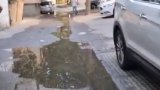 3 gündür su axır, problem həll olunmur - video