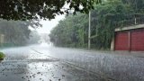 В Баку из-за шквалистого ветра пострадали четыре человека