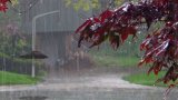 Həftəsonu leysan yağacaq, şimşək çaxacaq, dolu düşəcək - XƏBƏRDARLIQ