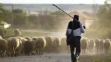 В Армении обнаружен заблудившийся гражданин Азербайджана