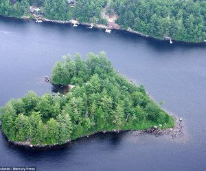 Heart-shaped island goes on the market for $1million