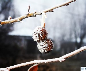 Views of winter in Azerbaijan