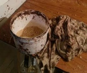 Azərbaycanda konfet sexindən iyrənc görüntülər - Fotolar