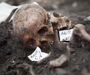 Archaeologists begin excavating 3,000 skeletons