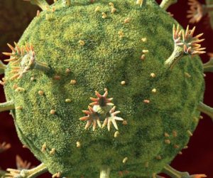 HIV: new approach against virus holds promise