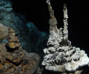 Newly found microbe is close relative of complex life