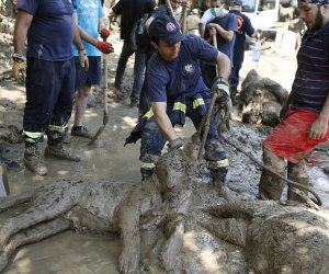 A pitiful end for the animals of Georgia's flooded zoo