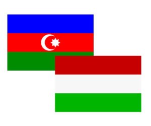 Hungarian House Speaker meets Azeri economy minister