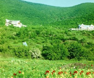 “Bir kəndin məşhurları