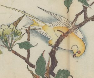 Inside the world's oldest multicolor printed book