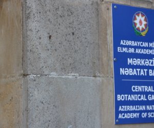 NO COMMENT: Nəbatət bağının yanması xəbəri yalan çıxdı - ANN.TV