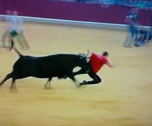 Bull runner is humiliated