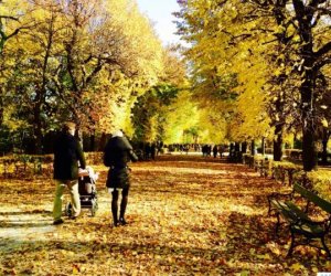 Avropa şəhərləri: Qızıl Vyana - FOTOREPORTAJ