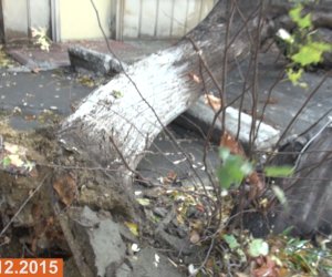 NO COMMENT: Bakı bir gecəyə bu hala düşdü... - ANN.TV