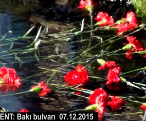 NO  COMMENT: İtkin düşən neftçilərin ANIMI - ANN.TV