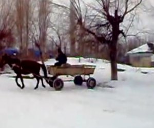 Разное: Гонщик на повозке