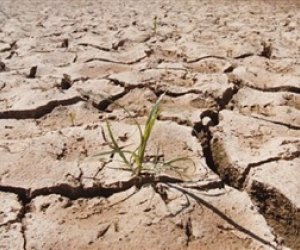 Catastrophe looms as 850,000 go hungry, says UN - Madagascar drought