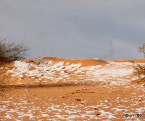 И вновь в Сахаре снег 