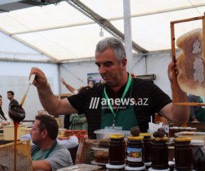 Bəzi arıçılar razı, bəziləri isə narazıdır - Bal yarmarkasından reportaj - FOTOLAR