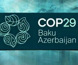 Haber Global: Ученые ОТГ на COP29 работают над системой раннего предупреждения стихийных бедствий