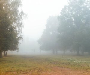 Azerbaijan weather forecast for January 30