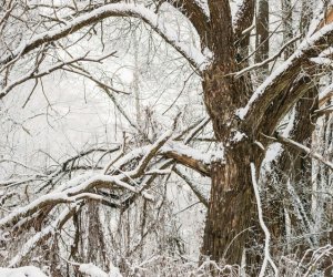 Azerbaijan weather forecast for February 7