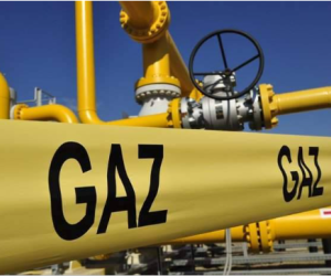 Turkmen Gas Supplies to Türkiye Will Start on March 1