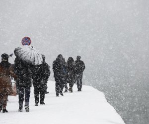 В Стамбуле из-за сильного снегопада закрыты школы