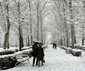 Qarlı və şaxtalı hava şəraiti davam edir – FAKTİKİ HAVA