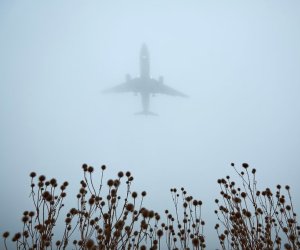 Rusiya ilə ABŞ arasında uçuşlar bərpa oluna bilər